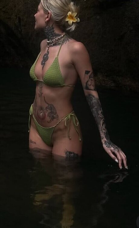 Jill Lange nus de stars du porno collection