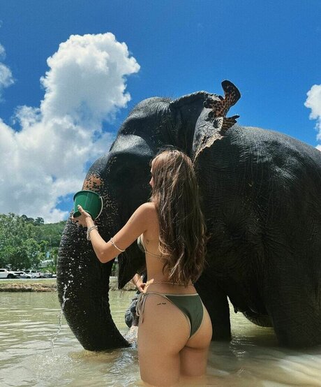 Domelipa modèle nu galeries