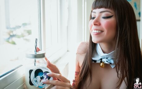 Dinhasun jolie étoile galeries