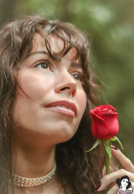 fans gays uniquement haut hd image