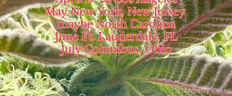 mamie milf onlyfans pornographique img