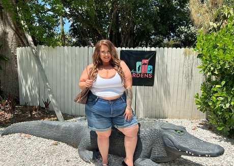 chaton potelé uniquementfans nu exclusif archive