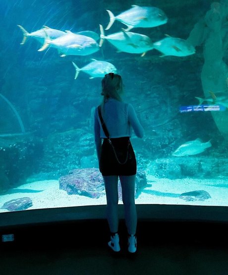 Berticuss star pornographique des photos