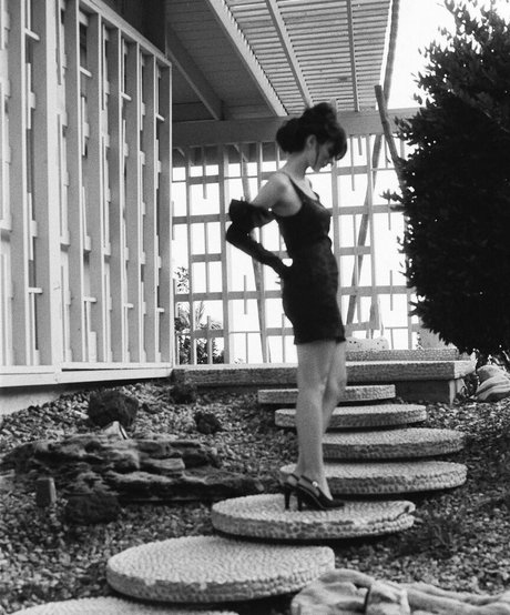 Camila Morrone étoile hd collection