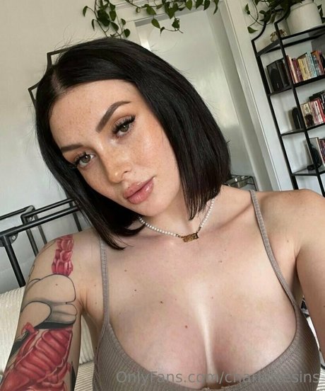 charlottesins étoile de haute qualité collection