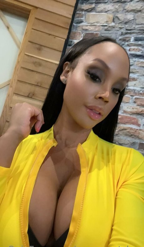 msaugustskye modèle gratuit image