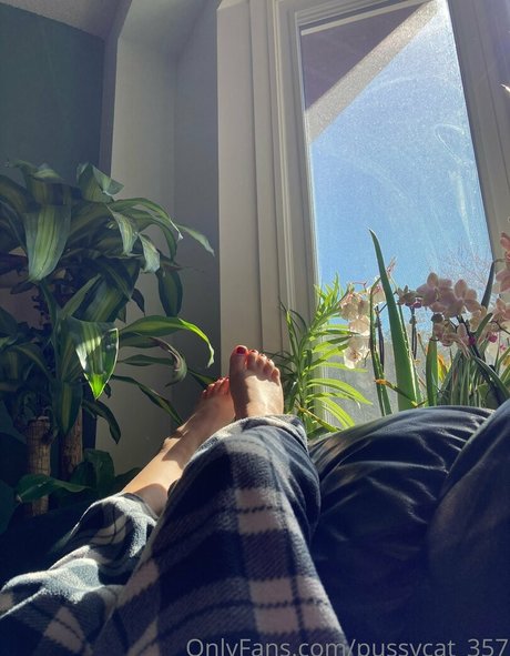 pussycat 357 actrice adulte archive