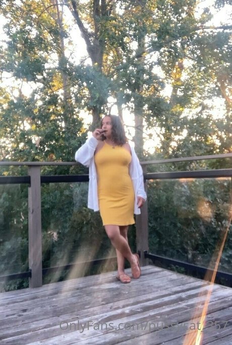 pussycat 357 modèle pornographique collection