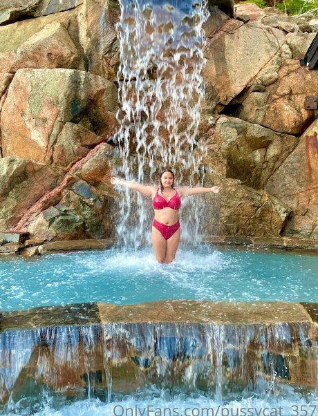 pussycat 357 modèle nu collection