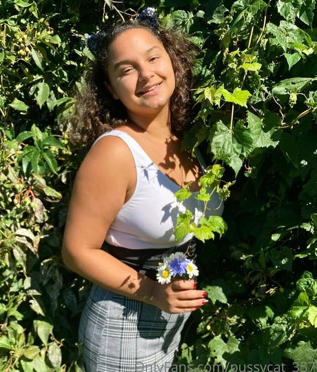 pussycat 357 beau modèle img