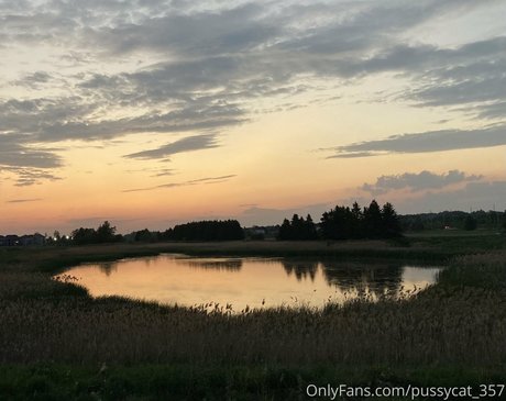 pussycat 357 modèle xxx galeries