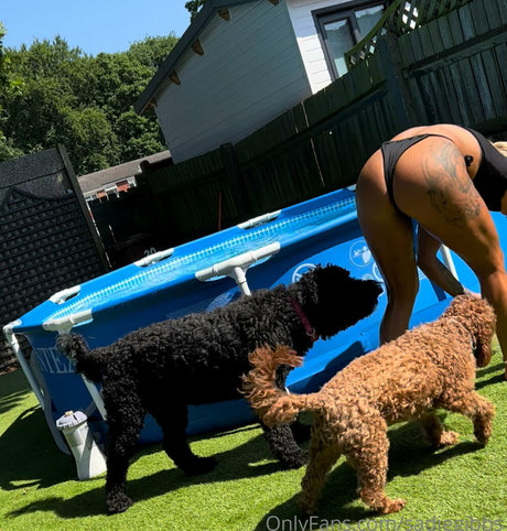 sadiegibbs star du porno belle galerie