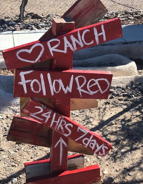 fans de gothique asiatique uniquement parfait exclusif des photos