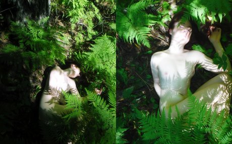 sexyshreksy art de star du porno des photos