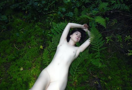 sexyshreksy mannequin images