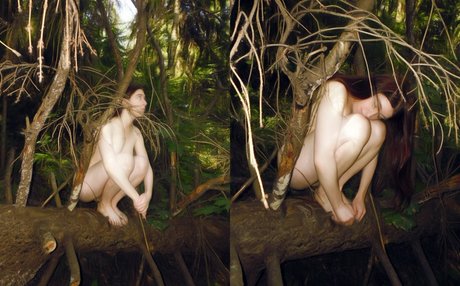 sexyshreksy haut de star du porno collection