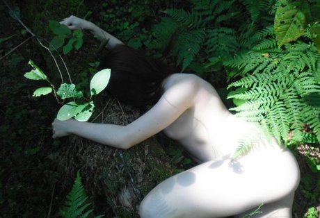 sexyshreksy star du porno hd collection