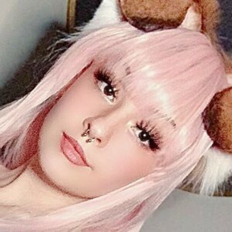 Im renna meilleur modèle img