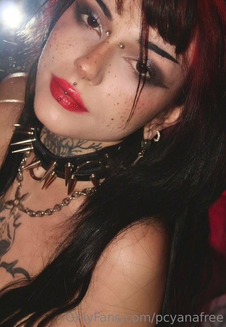 elfsandi étoile érotique archive