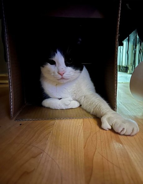 fellation asiatique onlyfans porno exclusif image