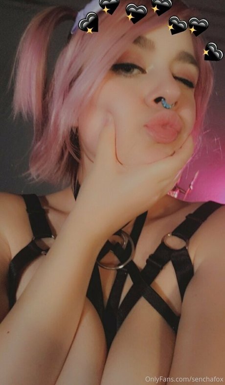 senchafox étoile de l'art photo