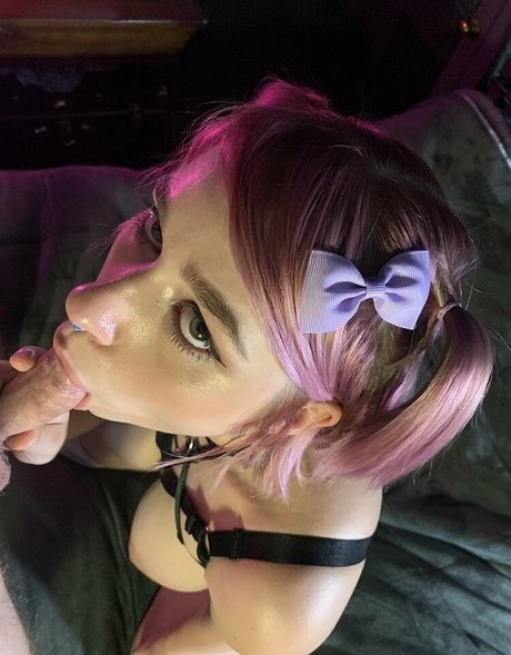 senchafox art modèle img