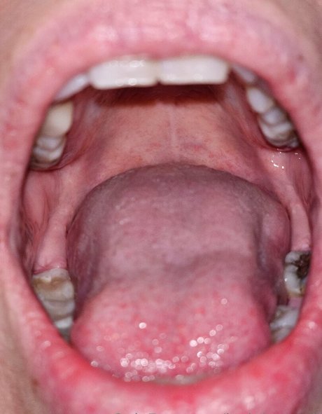 jackdaspeck jolie actrice collection