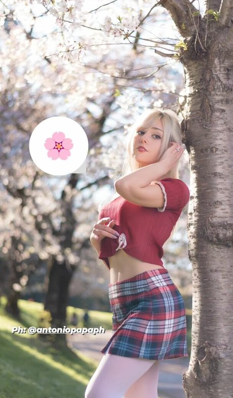 fans asiatiques potelés uniquement jolis nus photo