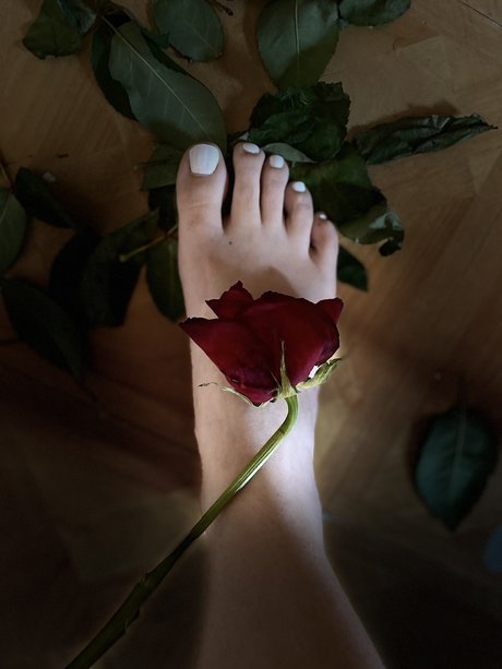 Lolly Toes_ actrice pornographique img