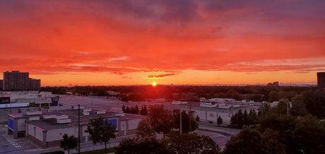 Duane Robinson jolie étoile images