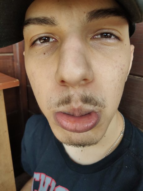 lucass lapa belle star du porno image