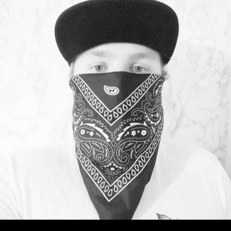 Michael gray étoile parfaite archive