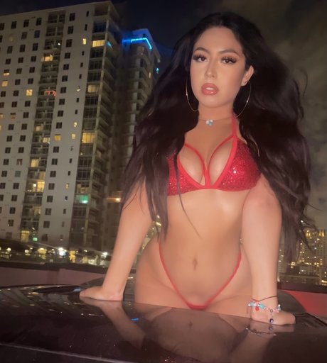 MULASTAX meilleur modèle galeries