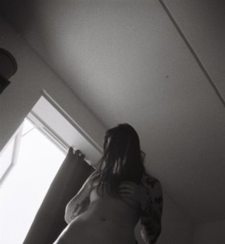 Mifty meilleure étoile collection