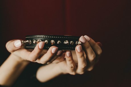 Lady Meredith étoile parfaite img