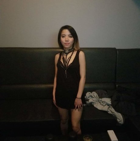 Sica étoile archive