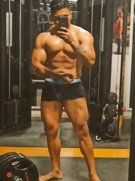 Morena y lobo étoile hd image