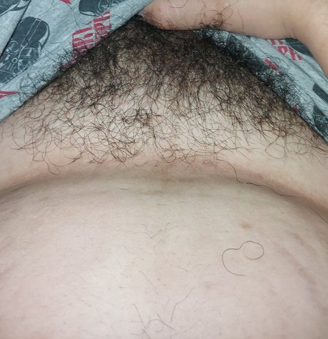 GORDINHO SAFADO modèle galerie