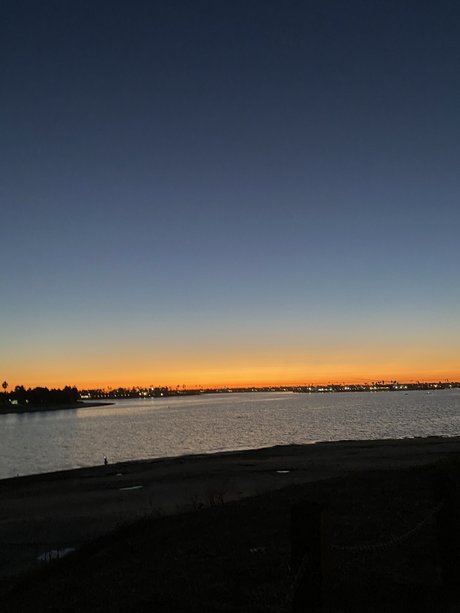 Miss Kitty_ art modèle galerie