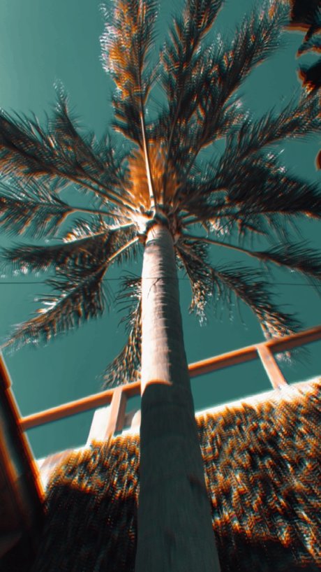 Desmon sexe star du porno photos