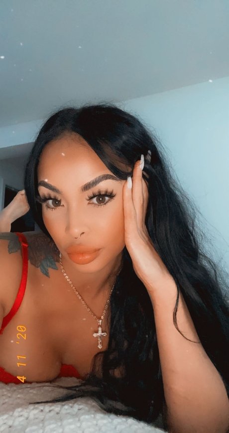 ALIZE_ meilleur modèle collection