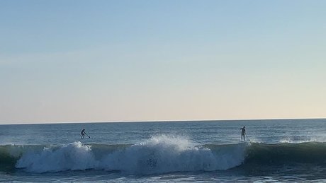 Naked on the board meilleur modèle img