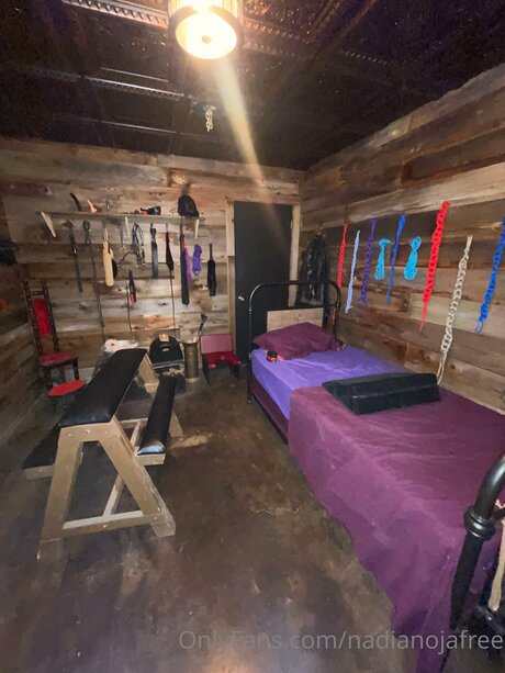 Nadia Noja étoile gratuite collection