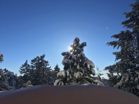 Nate Oakley joli modèle images