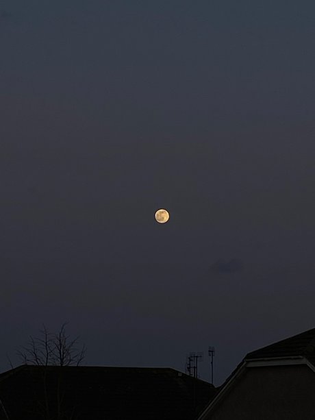 Must be nice étoile xxx galeries