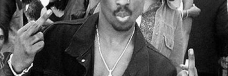 Mushiavelli étoile gratuite img