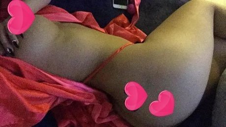 ExoticBunni étoile hd images