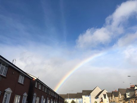 Ms Maven étoile gratuite images