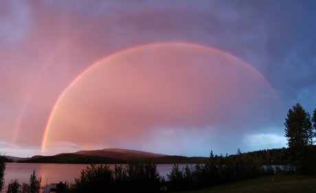 Nico Rain star du porno galeries