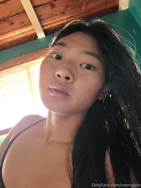 neon gush étoile adulte archive